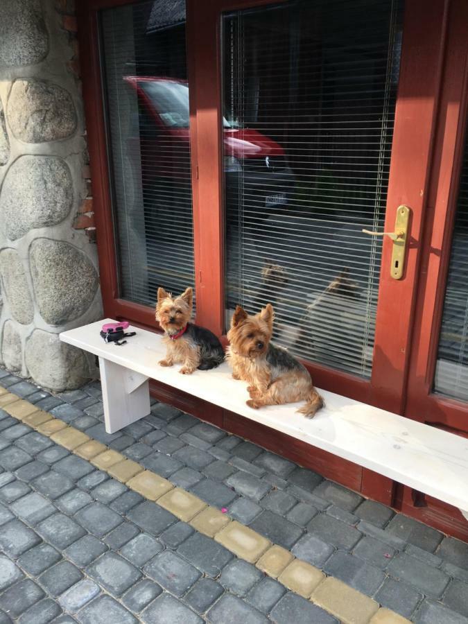 Apartamenty I Pokoje U Staszelow Поронин Екстериор снимка